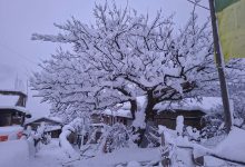 Photo of हुम्लामा हिमपात फोटो फिचर