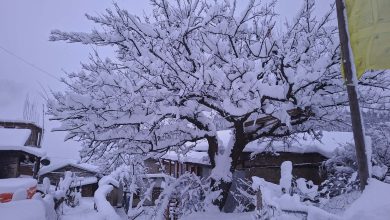 Photo of हुम्लामा हिमपात फोटो फिचर