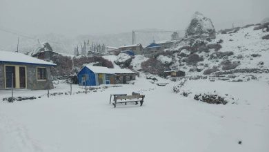 Photo of रसुवाको हिमाली भेगमा हिमपात, तल्लो भेगमा बर्षा
