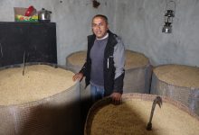 Photo of म्याग्दीका ध्रुवले फलाए १२० मुरी गौरिया धान