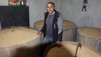 Photo of म्याग्दीका ध्रुवले फलाए १२० मुरी गौरिया धान