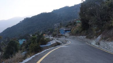 Photo of घतानको वडा कार्यालय जोड्ने सडक कालोपत्र