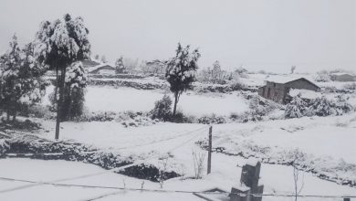 Photo of बैतडी र बागलुङमा बाक्लो हिमपात, जनजीवन प्रभावित