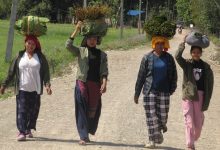 Photo of थारु बस्तीमा बढ्यो माघीको चहलपल