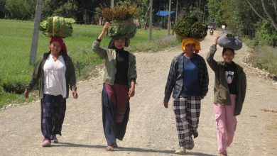 Photo of थारु बस्तीमा बढ्यो माघीको चहलपल