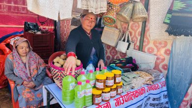 Photo of किवी बिक्री नभएपछि जुस उत्पादन गर्दै महिला उद्यमी