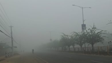 Photo of बाक्लो हुस्सु र कुहिरोले पश्चिम तराईको जनजीवन प्रभावित