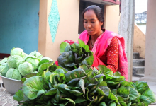 Photo of तरकारी खेतीबाट आत्मनिर्भर बन्दै राना थारु महिला