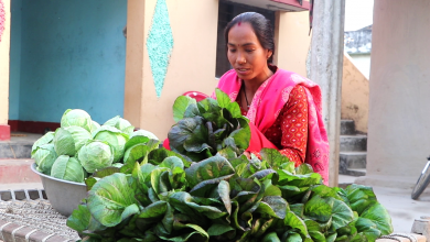 Photo of तरकारी खेतीबाट आत्मनिर्भर बन्दै राना थारु महिला
