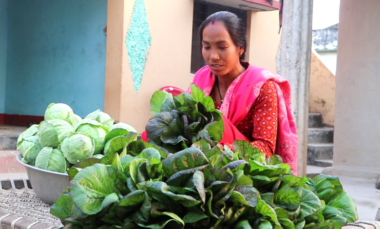 तरकारी खेतीबाट आत्मनिर्भर बन्दै राना थारु महिला