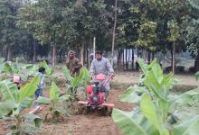Photo of शिक्षण पेसासँगै कृषिमा रमाउँदै सर्वेन्द्र