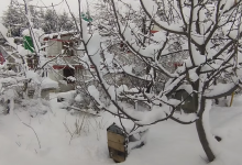 Photo of हुम्लामा भारी हिमपात हुँदा किसान रमाए