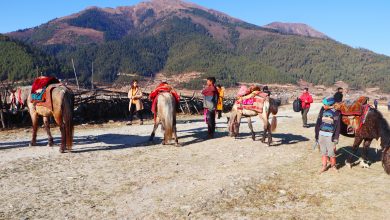 Photo of चिसो याममा पनि ढोरपाटनमा पर्यटकको चहलपहल