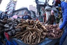 Photo of उत्तरायणको पहिलो दिनः मकर (माघे) सङ्क्रान्ति पर्व मनाइँदै