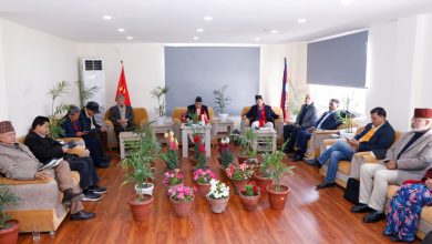 Photo of कस्ता कार्यक्रम आउँदैछन् एमालेको घोषणा पत्रमा ?