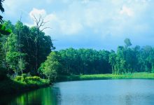 Photo of पर्यटकको रोजाइमा वेतना सिमसार