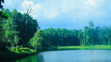 Photo of पर्यटकको रोजाइमा वेतना सिमसार