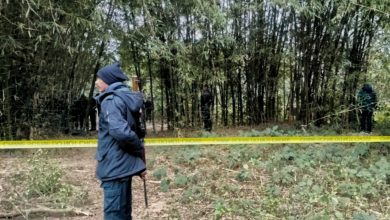 Photo of सिरहामा खेत जोतिरहेका किसानको गोली हानी हत्या