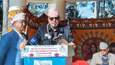 Photo of सहिद दिवस सम्झनाको मात्र नभई आत्मसमीक्षा र प्रतिबद्धताको दिन हो : मन्त्री चौलागाईँ