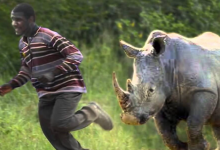 Photo of गैँडाको आक्रमणबाट मृत्यु