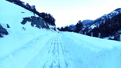 Photo of भारी हिमपातले मध्यपहाडी लोकमार्ग अवरुद्ध