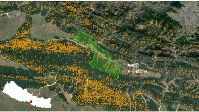 Photo of उद्यमसहितको वन व्यवस्थापनले आगलागी शून्य