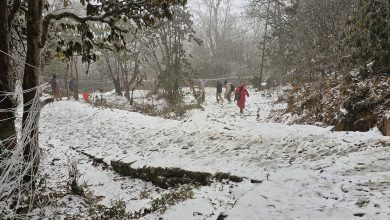 Photo of पाथीभरा क्षेत्रमा हिमपात