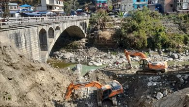 Photo of मध्यपहाडी लोकमार्गः ‘आर्क ब्रिज’ निर्माण सुरु