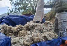 Photo of परम्परागत सीपको संरक्षण गर्न भोजपुरमा राडीपाखी बुन्ने तालिम