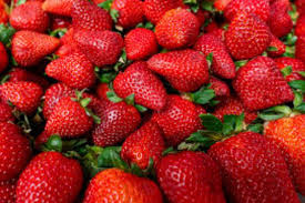 Photo of स्ट्रबेरीखेती गरेर एकवर्षमा २१ लाख रुपैयाँ आम्दानी