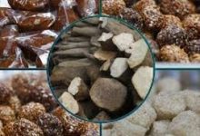 Photo of माघे सङ्क्रान्तिमा खाना महोत्सव