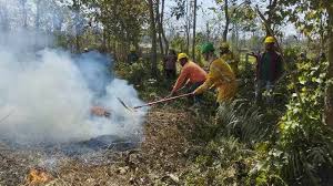 Photo of देशभरका नौ जिल्ला डढेलोको उच्च जोखिममा