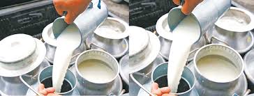 Photo of एउटै गाउँबाट दैनिक १७ सय लिटर दूध उत्पादन