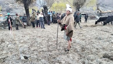 Photo of भूमि पूजापछि मात्रै खनजोत: तकसेरामा हलसारको परम्परा जीवितै