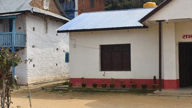 Photo of भोजपुरको रामप्रसाद राई गाउँपालिका साकेला सिली संरक्षणमा जुट्दै