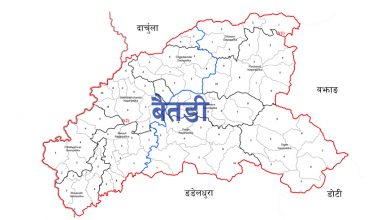 Photo of बैतडीमा २८७ बन्दुक फिर्ता