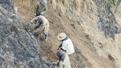 Photo of धौलागिरि आइसफल जोड्ने पदमार्ग निर्माण