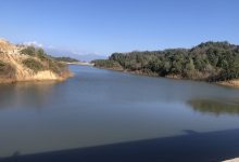 Photo of बाग्मती नदीको बहाव बढाउन धापड्यामबाट पानी छाडियो