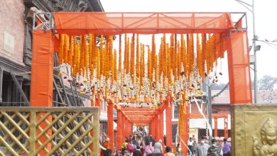 Photo of पशुपति क्षेत्रमा साधुसन्त र भक्तजनको चहलपहल बढ्यो