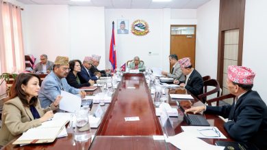 Photo of प्रतिनिधि सभा निर्वाचनका लागि तीन दिन सार्वजनिक बिदा