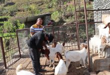 Photo of पशुलाई रोगबाट जोगाउन पूर्णखोप अभियान सञ्चालन