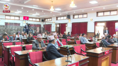 Photo of राष्ट्रियसभाबाट चलचित्र विधेयक पारित