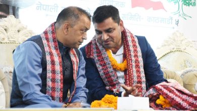 Photo of कांग्रेस बदलिएको सन्देश तल्लो तहसम्म पुर्‍याउन सभापति थापाको आह्वान