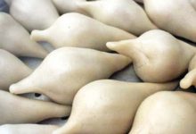 Photo of खाद्य परिकार योमरी युनेस्कोको अभौतिक सांस्कृतिक सम्पदामा सूचीकृत प्रक्रियामा