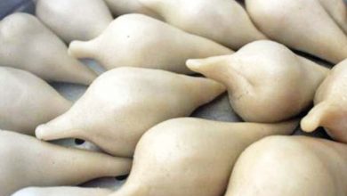 Photo of खाद्य परिकार योमरी युनेस्कोको अभौतिक सांस्कृतिक सम्पदामा सूचीकृत प्रक्रियामा