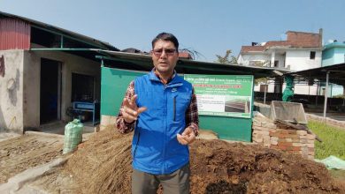 Photo of गँड्यौला मल उत्पादनबाट मनग्य आम्दानी