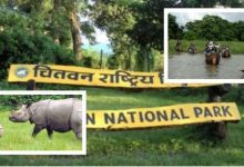 Photo of बाघ गणनामा प्रयोग राखिएका ६० क्यामेरा हराए