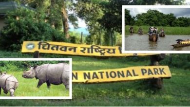 Photo of बाघ गणनामा प्रयोग राखिएका ६० क्यामेरा हराए