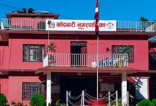 Photo of खाँदबारी नगरपालिकाद्वारा अनुदानमा मौरीसहितका घार वितरण