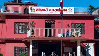 Photo of खाँदबारी नगरपालिकाद्वारा अनुदानमा मौरीसहितका घार वितरण